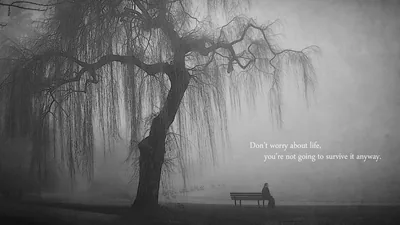 Fog swallows a park behind a huge willow while someone rests on a bench, the caption reading Don't worry about life, you're not going to survive it anyway.