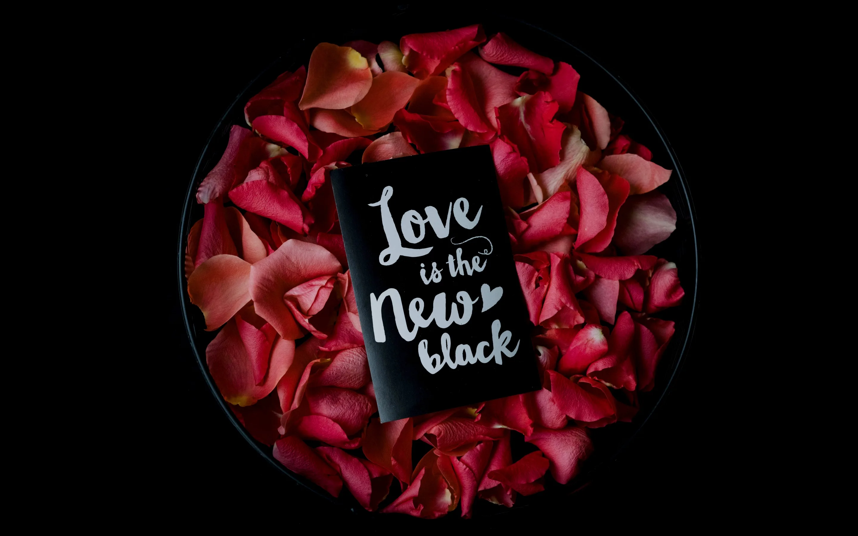 Red and pink rose petals ring a black card lettered with Love is the new black, shot from directly overhead against a black surround.