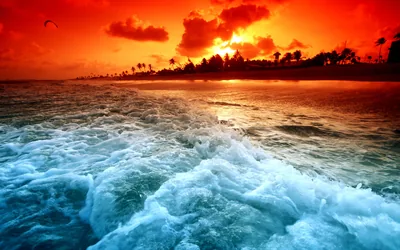 Foam churns across the foreground while palms stand black against a red-orange sky, a lone bird hanging in the top left corner.