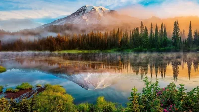 Morning fog slides across the water as sunrise colours the firs gold, the snowcap doubling in the still lake; the mirrored peak lands mid-frame, so a centre crop holds.