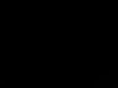 A completely unbroken black frame with no texture, gradient or mark anywhere — as dark as a screen gets.
