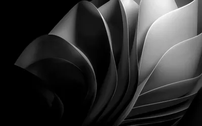 Curved sheets fan open from the lower right, lit hard on one side so each fold reads as a bright edge against deep shadow.