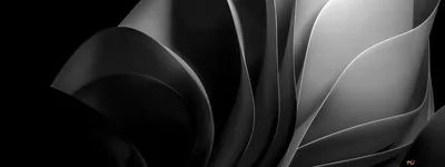 Layers of pale grey material curl across a wide frame, the right side lit and the left dropping to black.