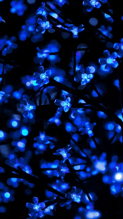 Strings of blue LED blossom lights glow against black branches at night, sharp flower shapes in the mid-frame dissolving into round bokeh at the top.