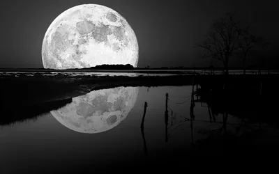 An oversized moon touches the horizon and repeats in the wet mudflats below, fence posts breaking the reflection in stark black and white.