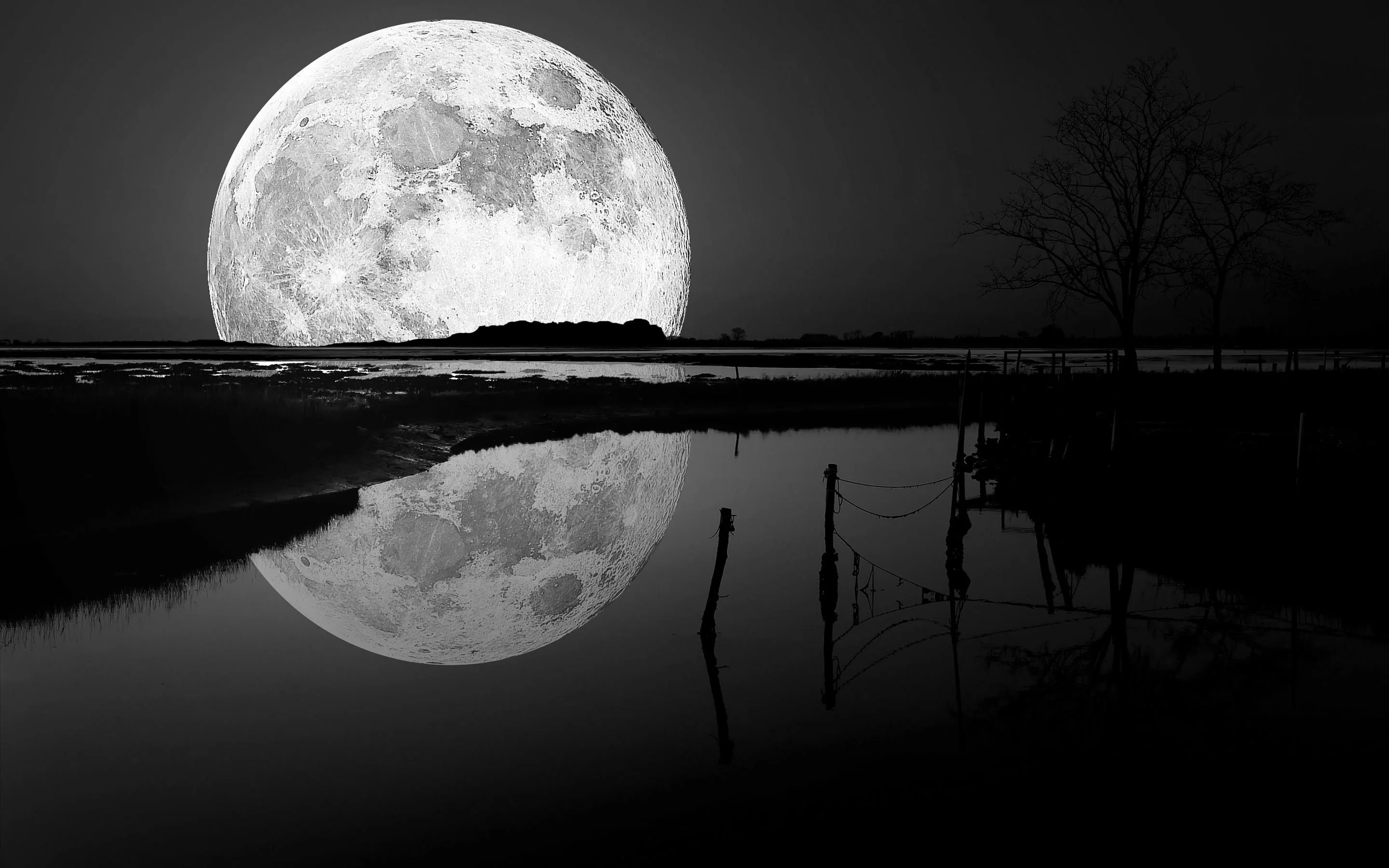 An oversized moon touches the horizon and repeats in the wet mudflats below, fence posts breaking the reflection in stark black and white.