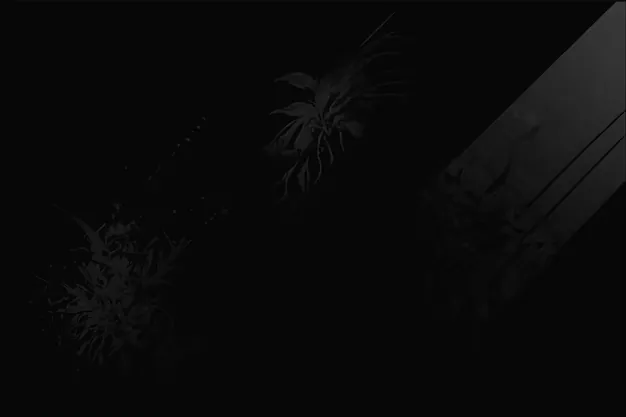 Two clumps of spiky foliage and the corner of a wooden structure surface out of near total darkness, most of the frame reading as flat black.