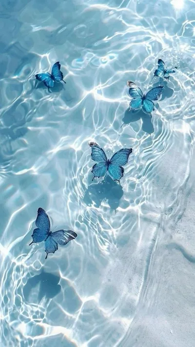 Blue morpho butterflies rest on sunlit ripples above pale sand, the water's light net pattern weaving around them, the right edge fading to plain white sand.