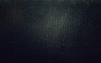A tightly dotted weave curves gently across the frame, lit at the centre and falling to black in every corner, close to a snakeskin grain.
