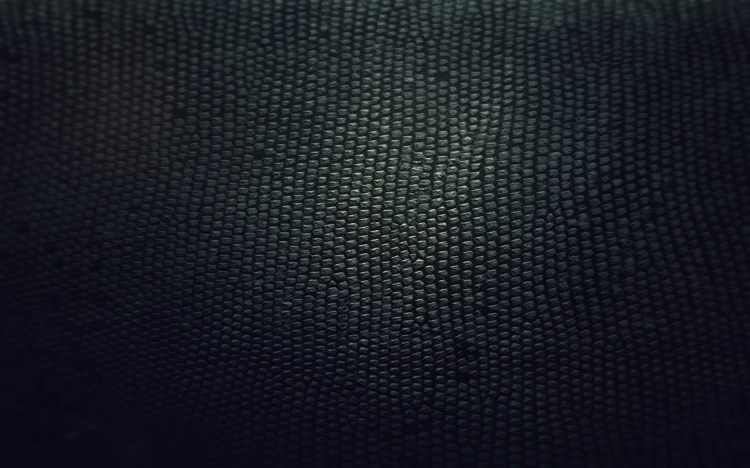A tightly dotted weave curves gently across the frame, lit at the centre and falling to black in every corner, close to a snakeskin grain.