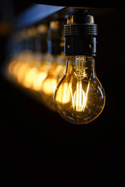 A line of exposed filament bulbs recedes into black, each one glowing amber and slightly out of focus.
