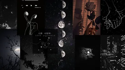 A grid of muted panels: two hands cradling a sprout, a rose in warm brown, moon phase strips repeated twice, bare branches and an aerial city grid across the bottom.