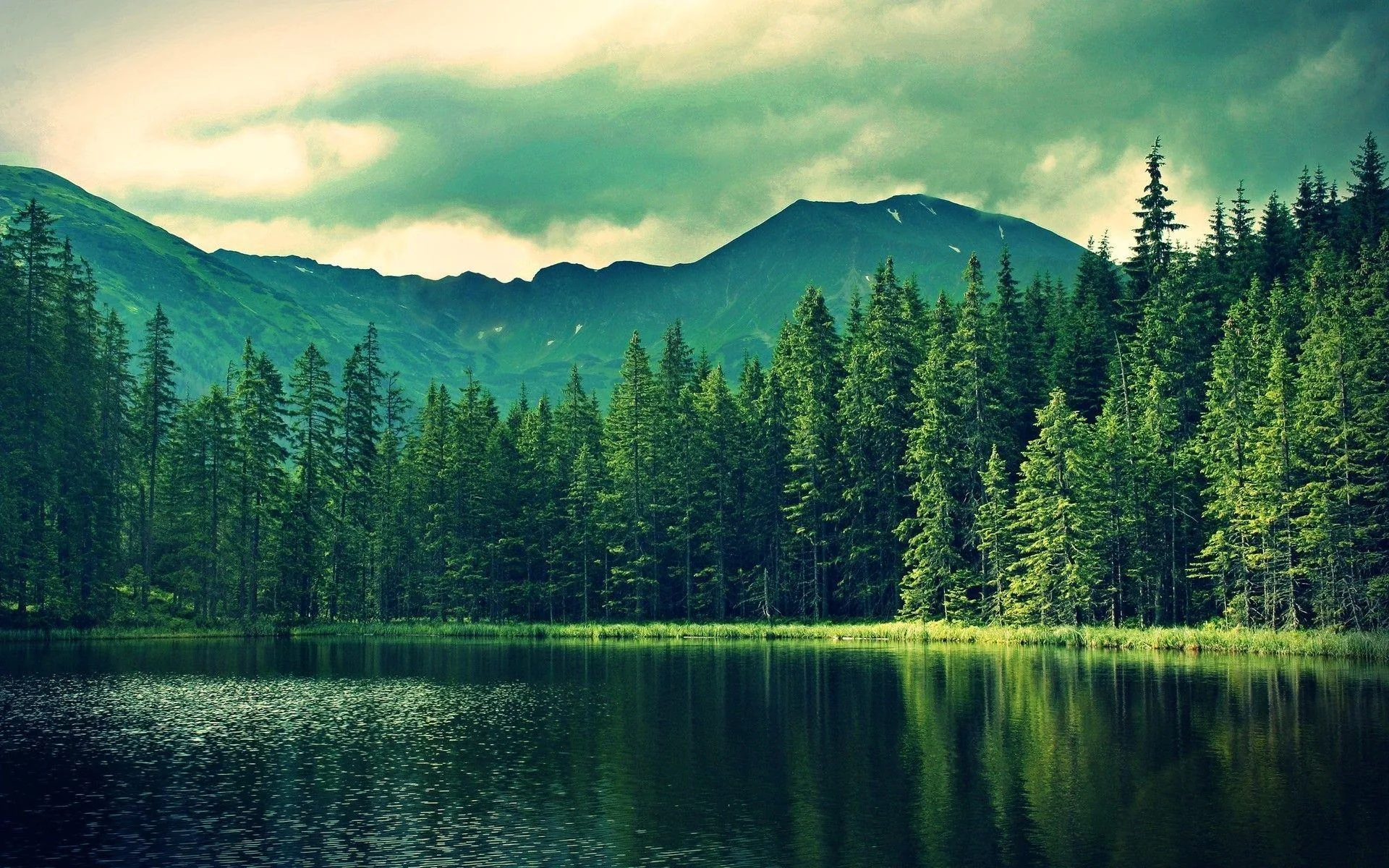 A still lake mirrors spruce forest under brooding clouds, the dark water band across the bottom third leaving space for an icon row.