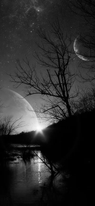 Bare branches cut across a sky holding both a crescent and a second pale planet, the light drawn out in a thin strip down the water.