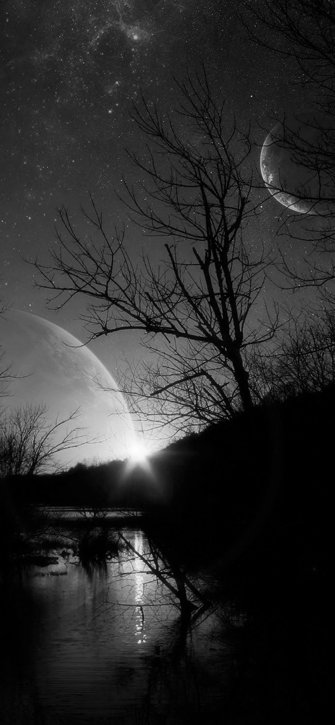 Bare branches cut across a sky holding both a crescent and a second pale planet, the light drawn out in a thin strip down the water.