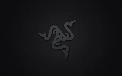 The triple-snake Razer emblem is embossed into a smooth graphite background, catching only a faint edge light in the centre.