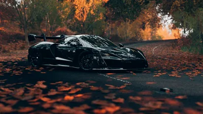 A long-tailed track car sits at an angle on wet asphalt strewn with fallen leaves, orange autumn trees filling the background and the foreground left soft.