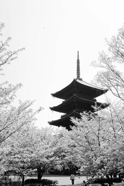 A dark five-storey pagoda spikes into a white sky between pale blossom trees, the overexposed background keeping status-bar text readable at the top.