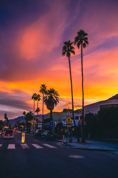 Tall palms tower over a crosswalk and street signs under streaked pink and gold clouds, the road below already dark enough to keep lock-screen text readable.