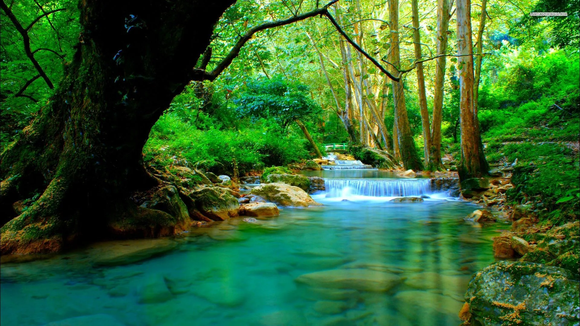A short waterfall feeds a glowing turquoise pool beneath a leaning tree, colours pushed heavy — the dark bough at top left anchoring the frame.