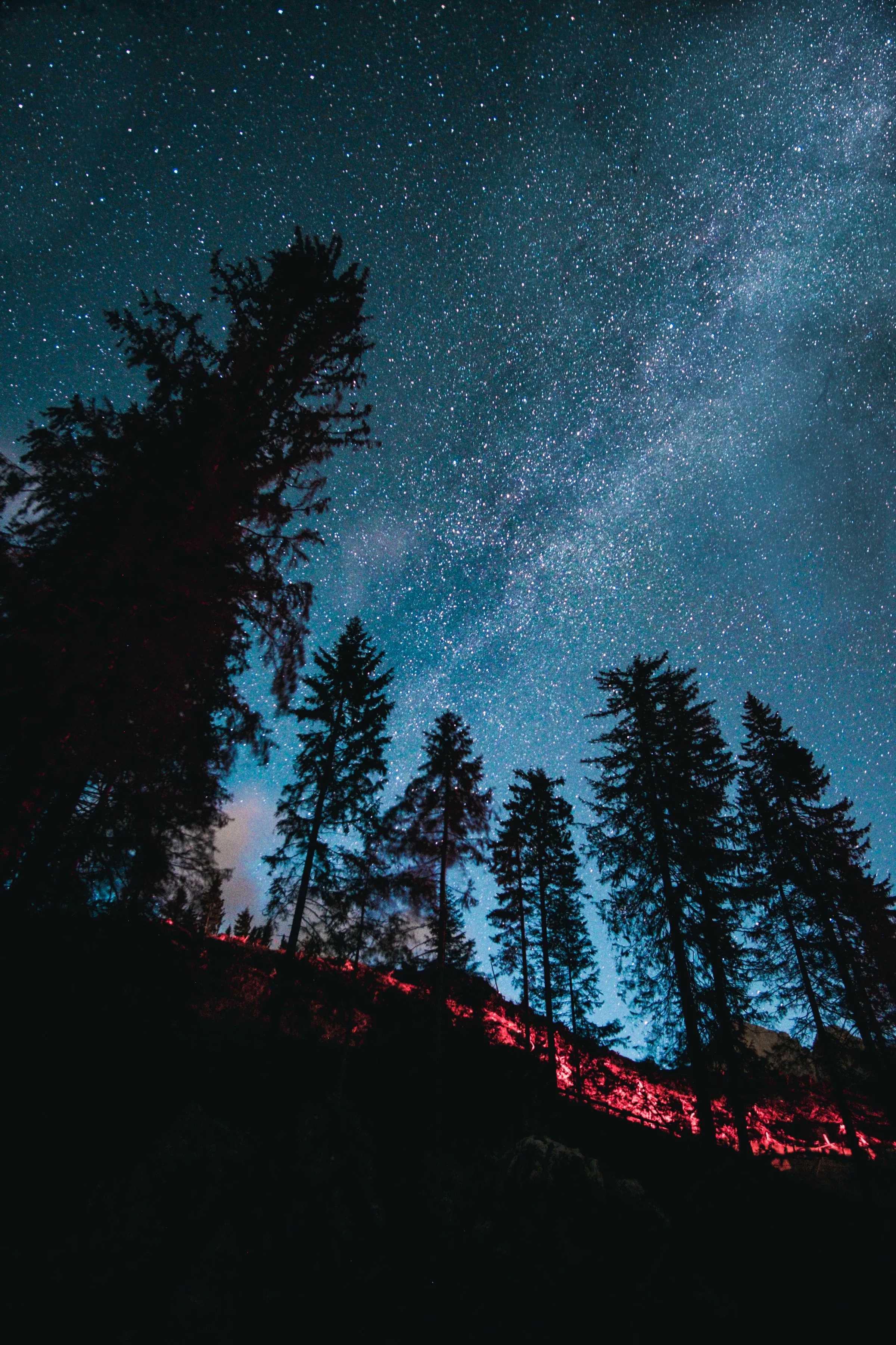 Tall pines stand in silhouette against a teal night sky streaked by the Milky Way, a strip of red light glowing along the ridge below.