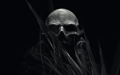 Blades of grass cross in front of a pale skull, the only lit thing in the frame, everything to the left dropping away into flat black.