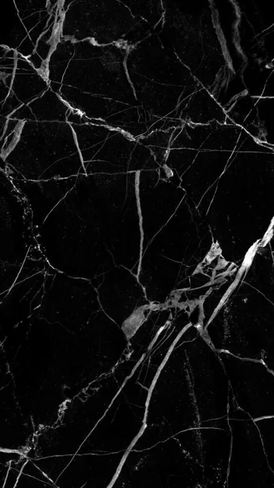 Thin white veins branch through polished black marble, thickest down the middle and breaking into hairlines toward the edges.