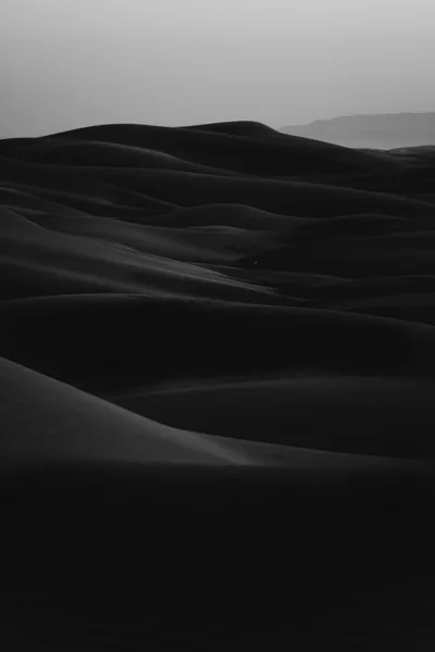 Ridges of desert sand roll away in near-black, the crests catching just enough light to separate them from a washed grey sky.