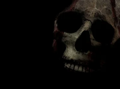 A cracked skull leans out of the dark on the left, faint red staining along the temple, the right third of the frame left completely black.