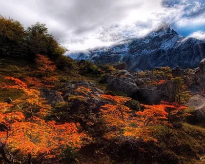 Orange autumn shrubs light up the foreground beneath a cloud-wrapped snowy summit, the colour concentrated along the bottom half of the frame.