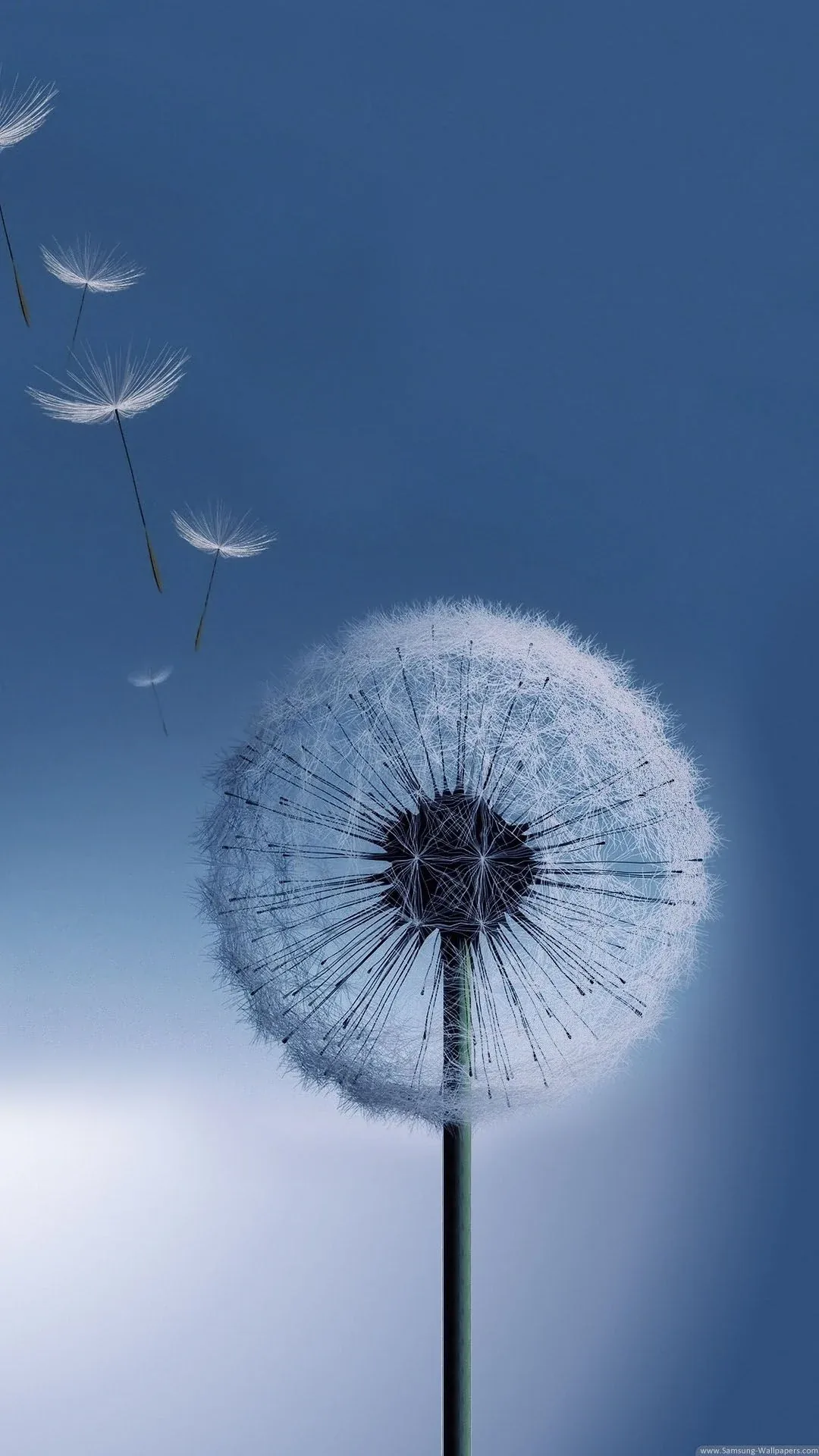 A white dandelion head stands right of centre on a steel-blue field, three seeds drifting toward the top-left corner where the sky fades lighter.