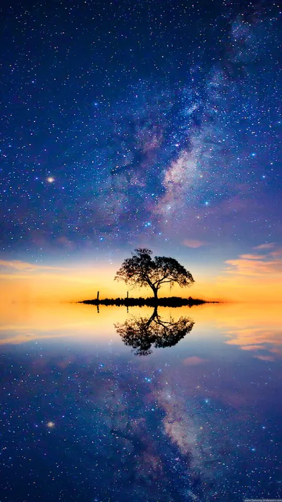 The Milky Way slants over a lone tree standing on the waterline, mirrored below, with an orange band at the horizon splitting sky from reflection.