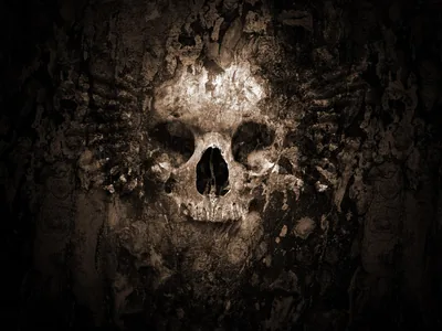 A skull pushes forward out of a rough brown wall packed with ribs and bone fragments, lit warmly from the front so the nose cavity stays black.