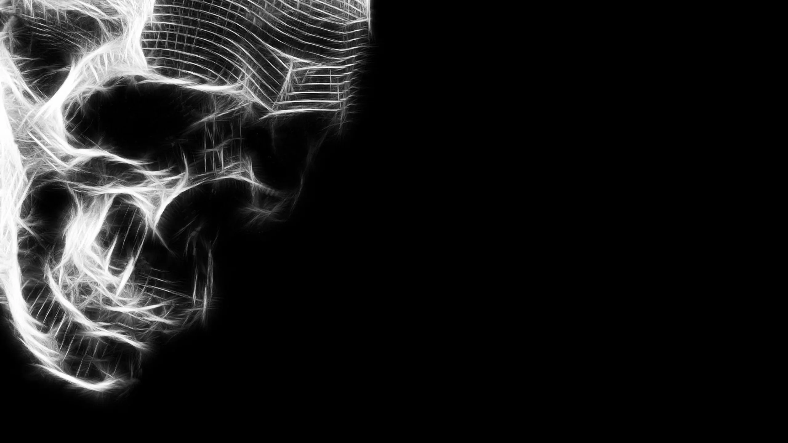 A skull built from fine glowing white filaments fills the left half, the right side left as empty black for icons.