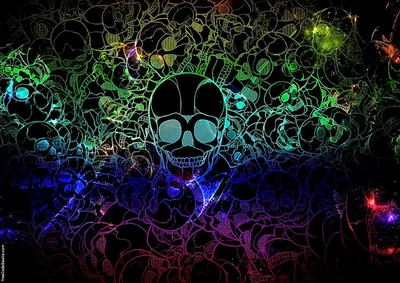 A tangle of skull outlines glows in green, blue, purple and pink over black, one larger skull holding the centre.