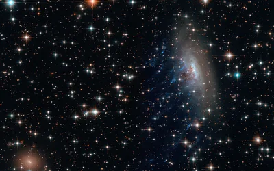 A telescope view of a blue spiral galaxy trailing gas through a field of glittering foreground stars, every corner of the frame dotted with light.