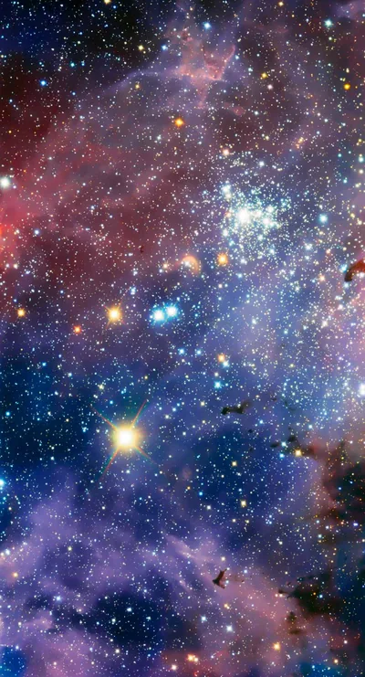 Portrait slice of a red-and-blue nebula packed with gold and white stars, the densest white cluster sitting in the upper third.