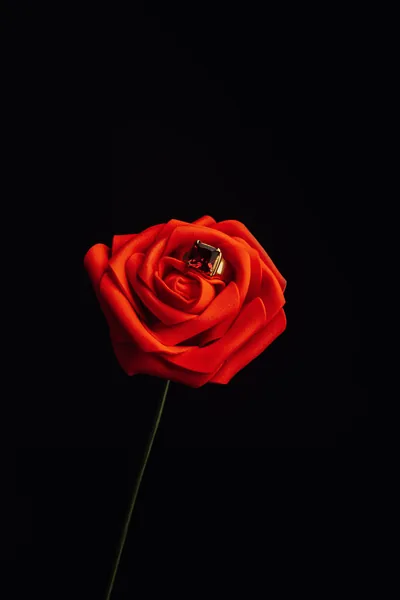 One open red rose on a thin green stem, lit from the front so the outer petals fall away into complete darkness.