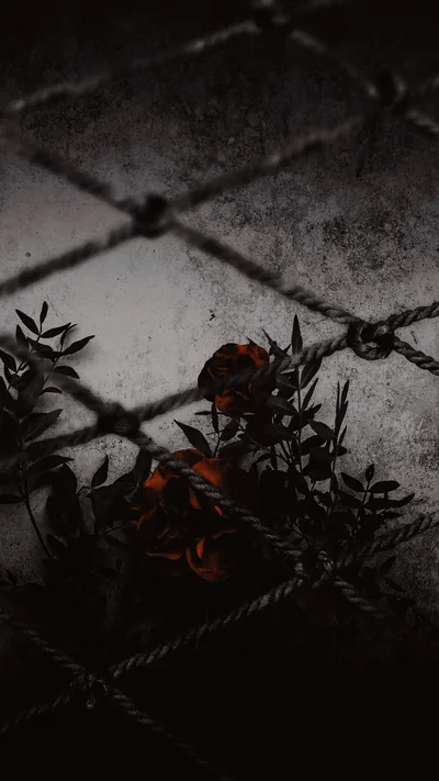 Diamond fence shadows fall across pale stone tiles while a cluster of deep red blooms and dark leaves pushes in from the lower left.