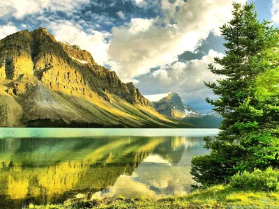 Evening sun rakes the fissured rock wall from the left, its gold reflection filling the water below one dark spruce on the right edge.