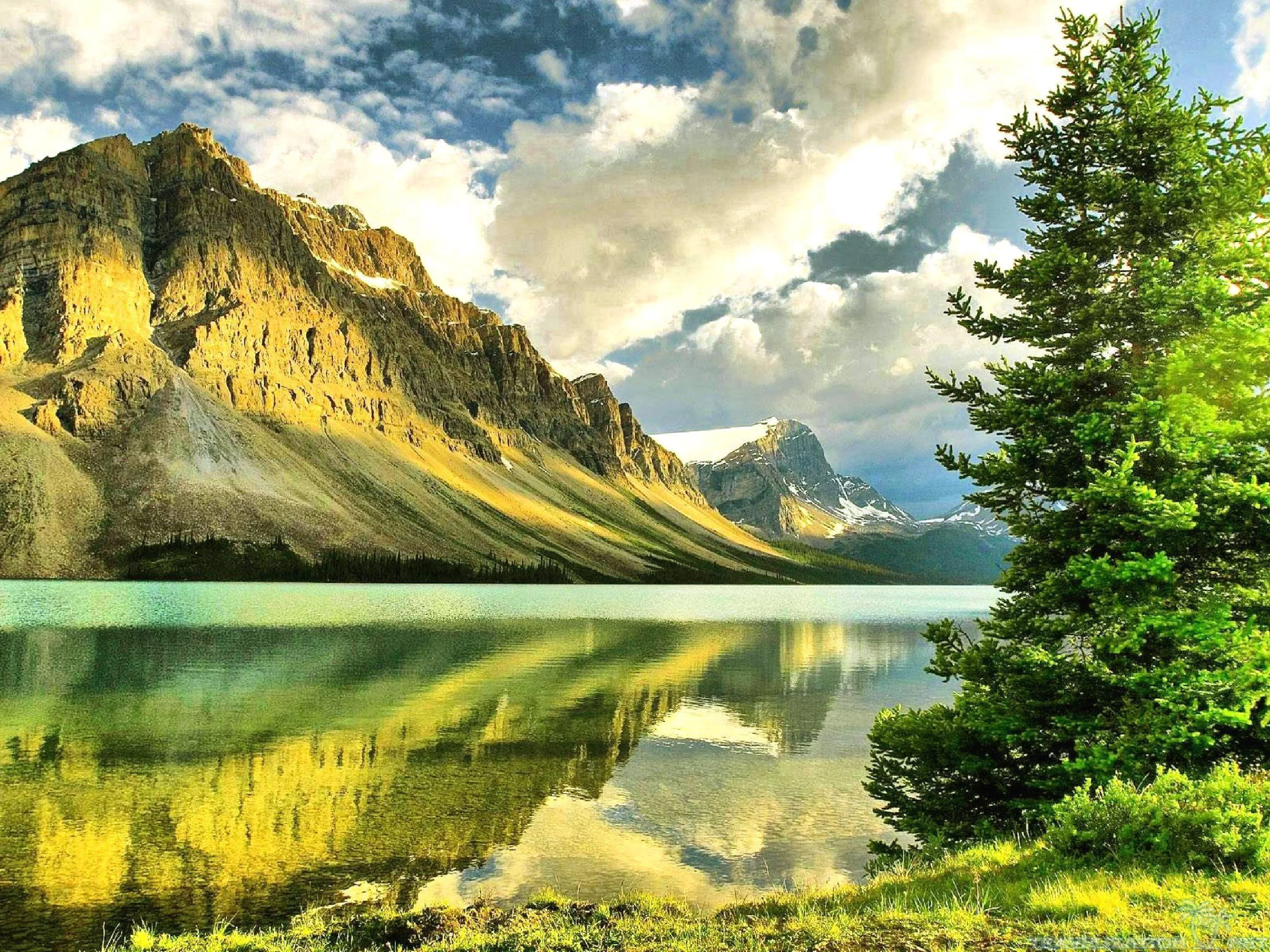 Evening sun rakes the fissured rock wall from the left, its gold reflection filling the water below one dark spruce on the right edge.
