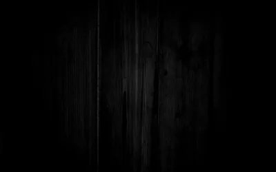 Vertical boards run the full height in near-black, faint grain and knots catching just enough light down the middle while both edges go solid.