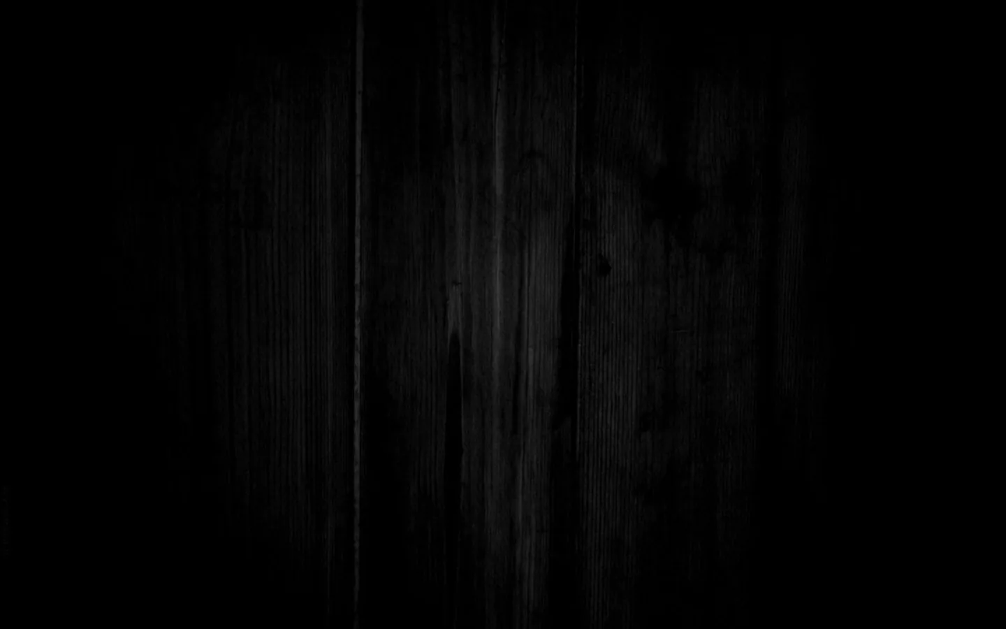 Vertical boards run the full height in near-black, faint grain and knots catching just enough light down the middle while both edges go solid.