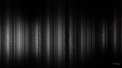 Pale vertical streaks run top to bottom like brushed metal or falling rain, brightest on the left and fading into a clean black band on the right.