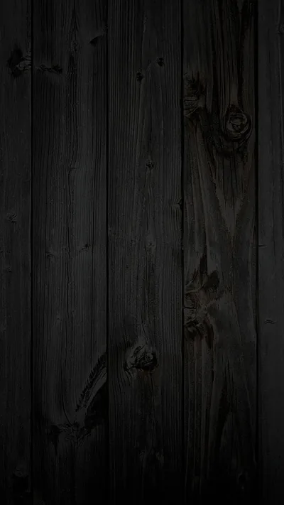 Weathered planks stand vertically in charcoal grey-black, knots and splits visible where the grain has dried and cracked.