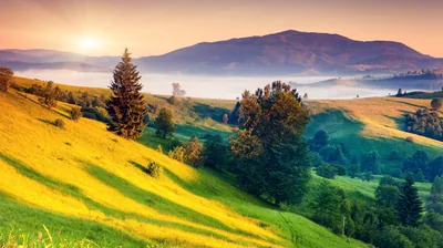 Low sun rakes across a steep grass slope from the left, fog pooling around the far ridge; oversaturated greens and golds suit a bright desktop.
