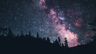 Pink-grey galaxy light spills over a dark treeline with film grain across the whole frame — the lower third is pure silhouette.