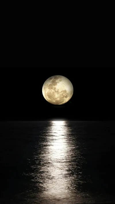 A bright full moon hangs low in a black sky and lays a long silver column of light across rippling water.