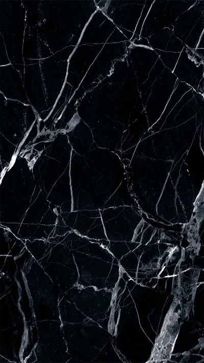 Sharp white veining branches across polished black marble, thickest through the centre of the tall frame.