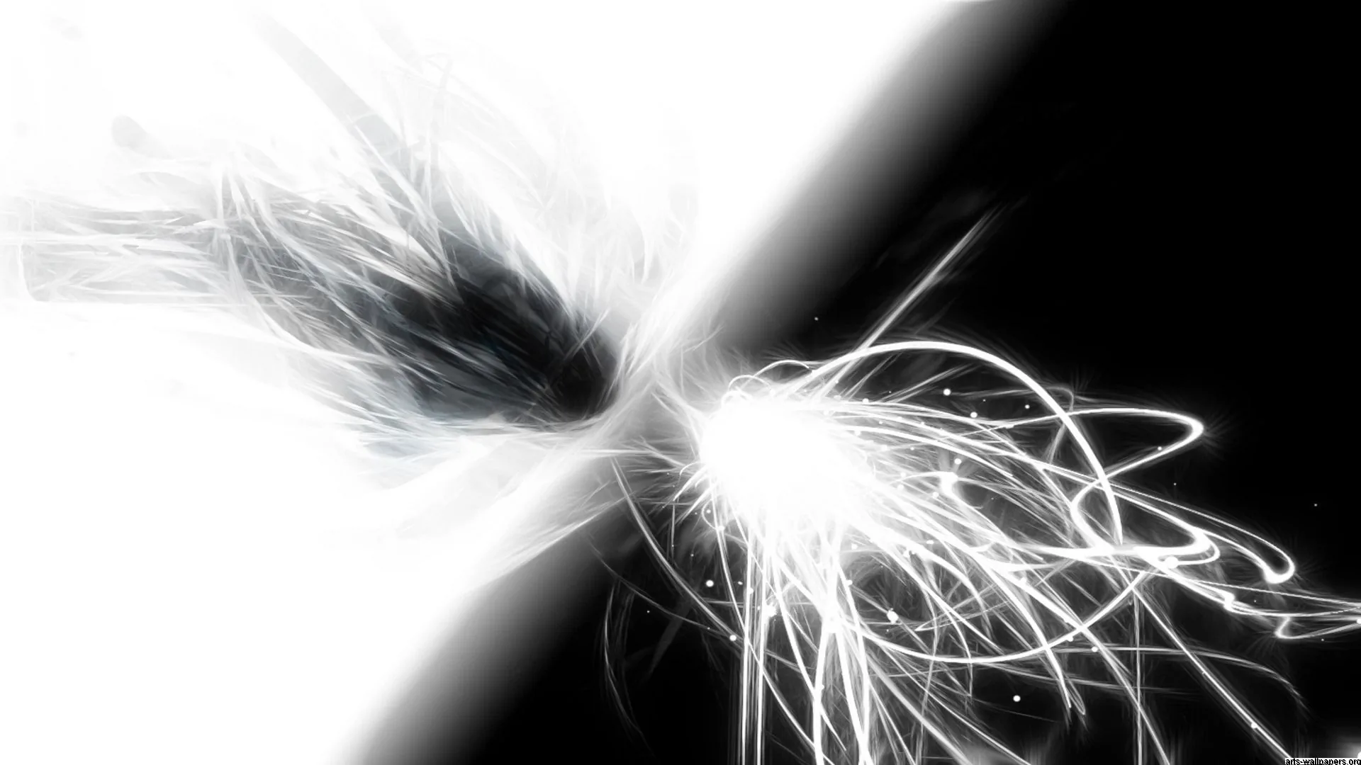White filament tangles meet a feathering dark mass along a hard diagonal, splitting the frame into a bright half and a black half.